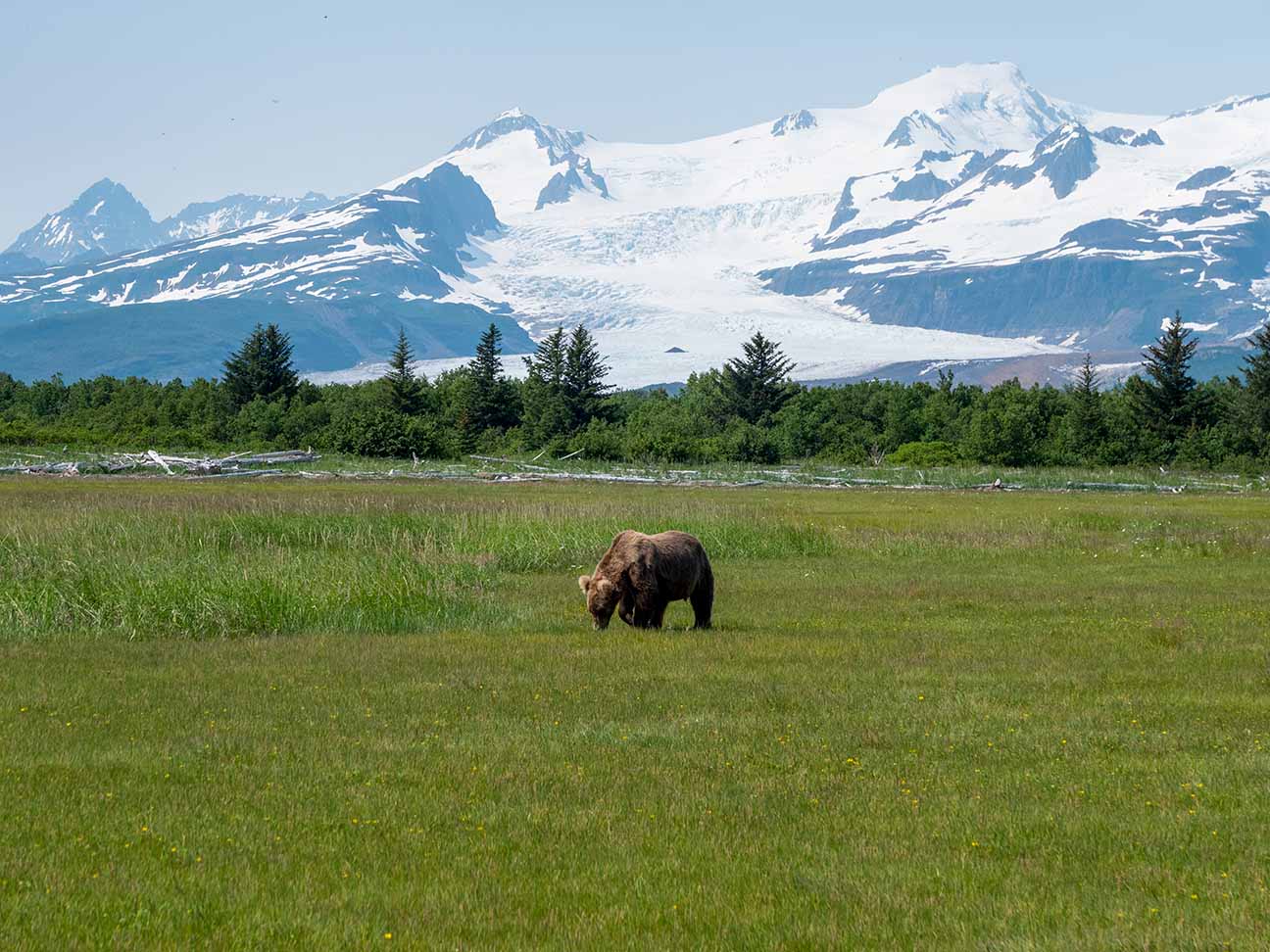 katmai-national-park